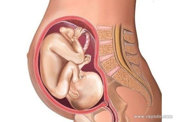 卵巢早衰影响月经吗？如何调理卵巢早衰。