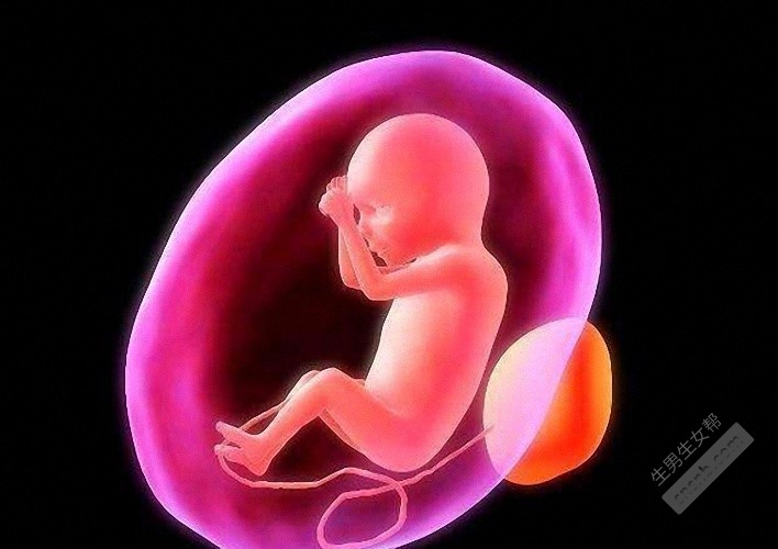 排卵障碍的症状有哪些 排卵障碍能怀孕吗