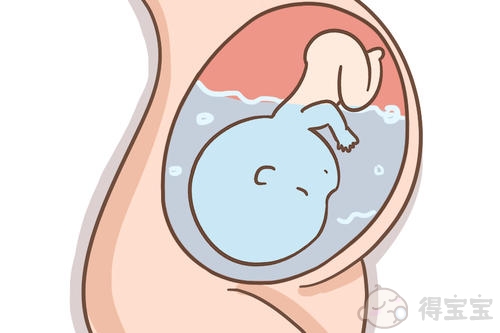 这四个步骤是在广州试管婴儿成功后维持妊娠的必要条件。