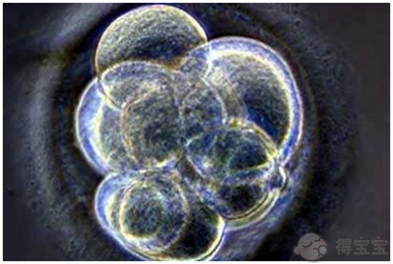 广州冷冻胚胎试管婴儿移植的优势有哪些？