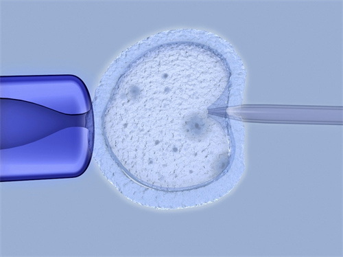 珠海助孕机构哪家好：2022年珠海私人借卵试管婴儿费用介绍! 通过试管婴儿生男孩的条件是什么？