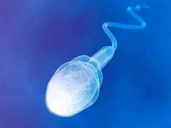 南昌助孕生子：精子质量的三分钟指南：淡黄色的精子可能是可育的。