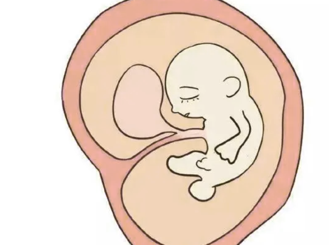 德州47岁a卵b怀：生化妊娠后多久会出现排卵？生化妊娠的征兆是什么？
