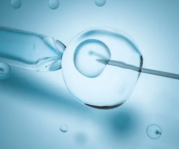 新乡试管助孕30万起-新鲜胚胎的体外移植过程，准备工作是最重要的步骤之一。