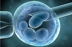 天津捐卵：排卵期第四天是囊胚移植的正